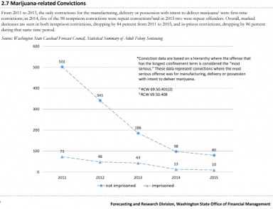 C:\Users\radic\AppData\Local\Microsoft\Windows\INetCache\Content.Word\WA OFM 2017 Report 2.7 Marijuana-Related Convictions.png