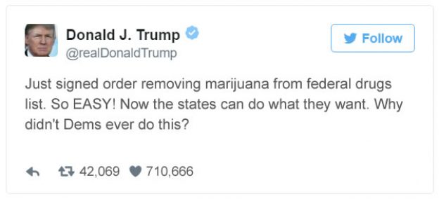 Trump Legalizes Tweet 1