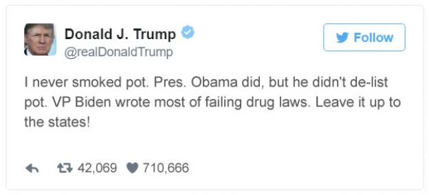 Trump Legalizes Tweet 2