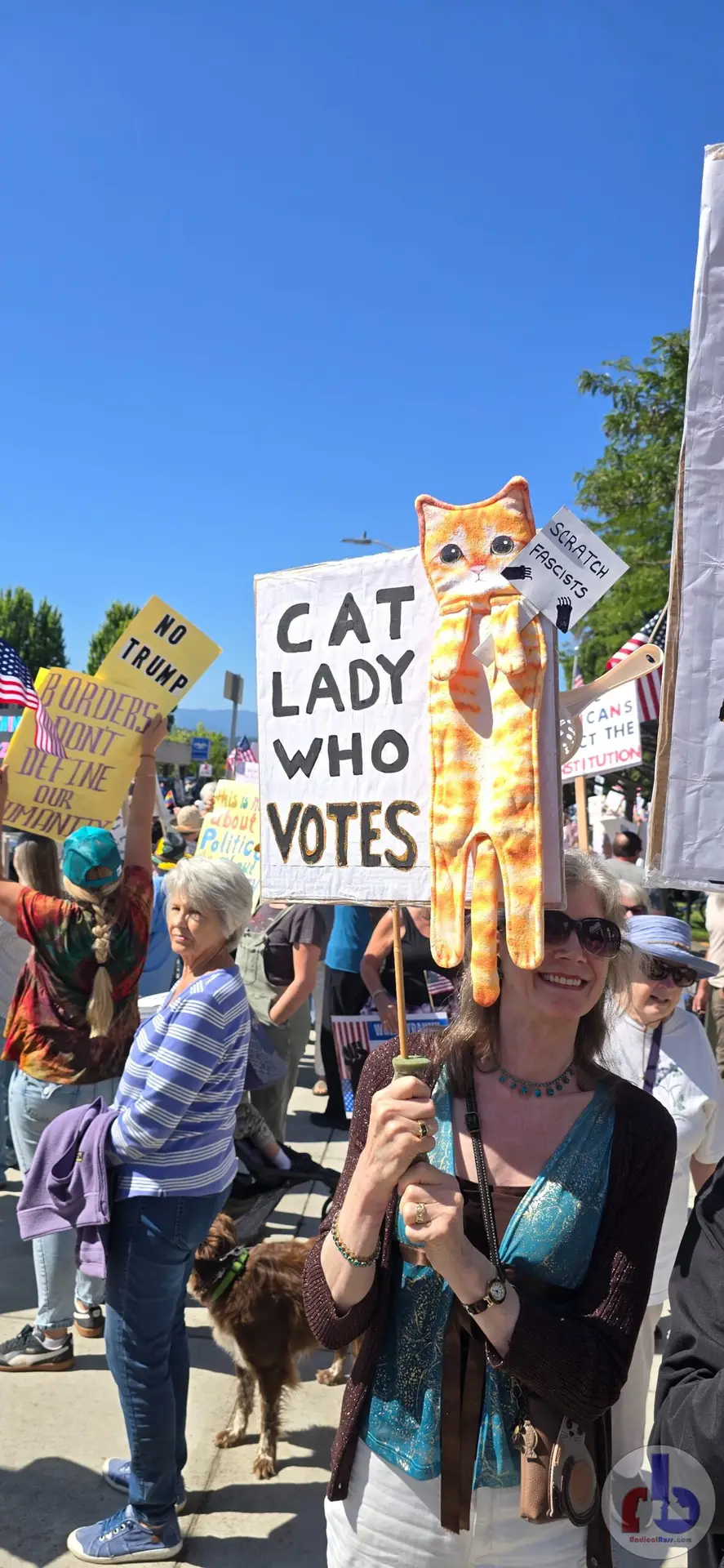 Cat Lady Who Votes