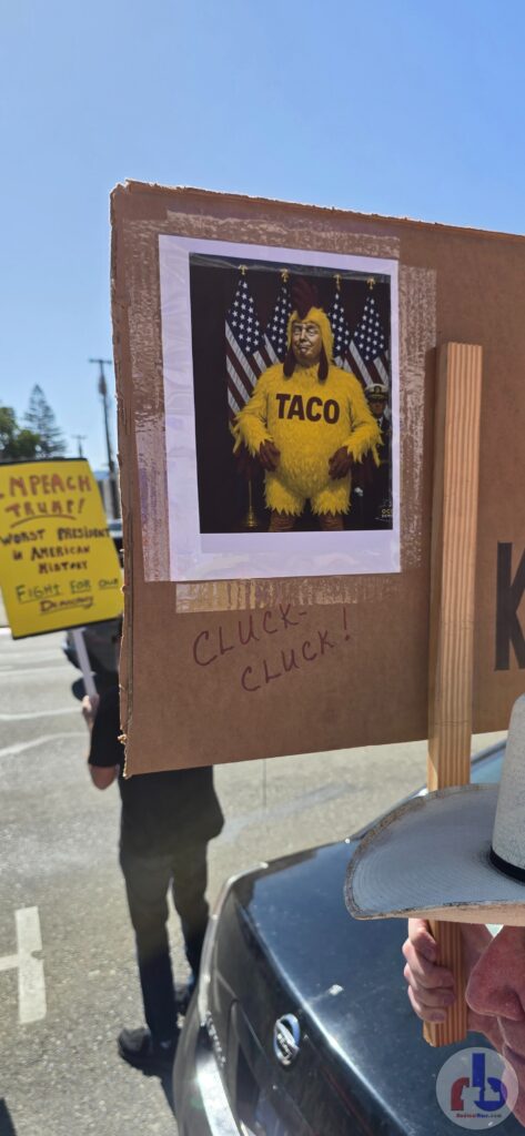 TACO (Trump in a Chicken Suit)