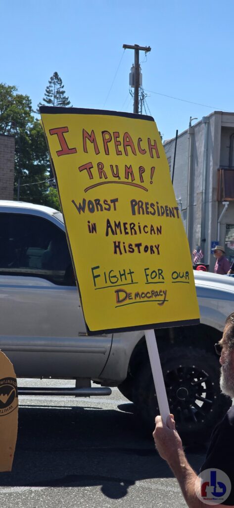 Impeach Trump! Worst President in American History. Fight for our Democracy.