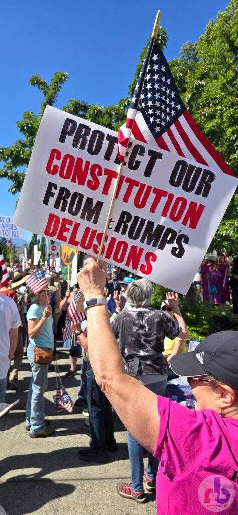 Protect our Constitution from Trump's Delusions