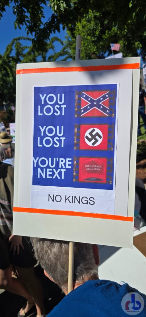 You Lost (Confederate Flag), You Lost (Nazi Flag), You're Next (MAGA Hat), No Kings