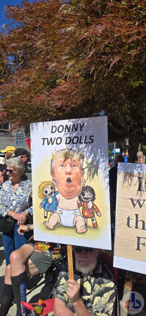 Donny Two Dolls
